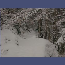 2013-02-02_Rappinschlucht_Lainlalm (020).jpg